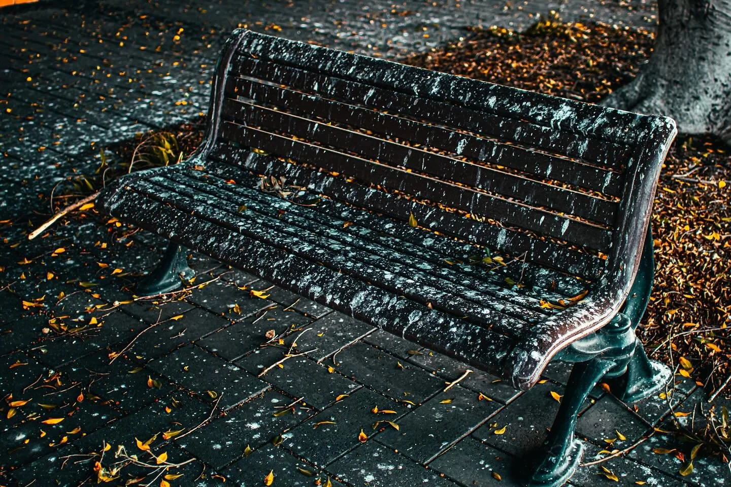 I call this set &ldquo;You can sit here if you really want to&hellip;&rdquo;

#portadelaide #parkbench #photography #canonphotography #birdlovers #blueandorange #streetphotography #adelaidephotography