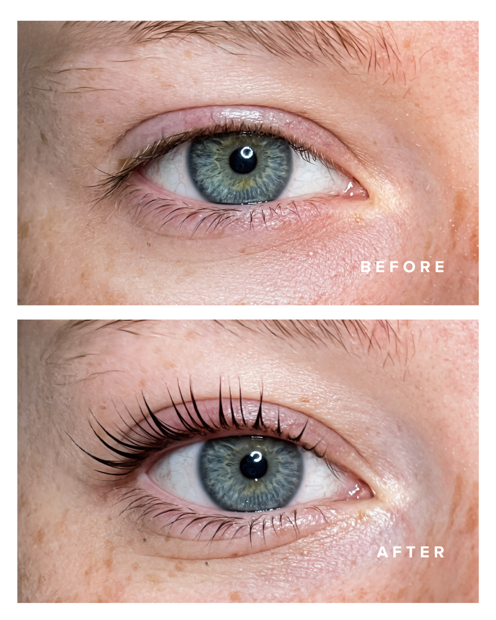 Before and after Traditional or Korean Lash Lift and Tint at b.LUXE Hair and Makeup Studio in Medway, MA.