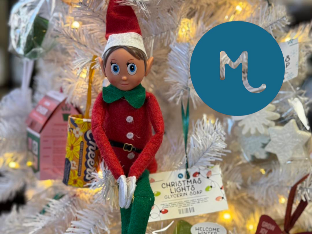 Elf on a shelf at Molly's in Medway. Cute elf on white christmas tree