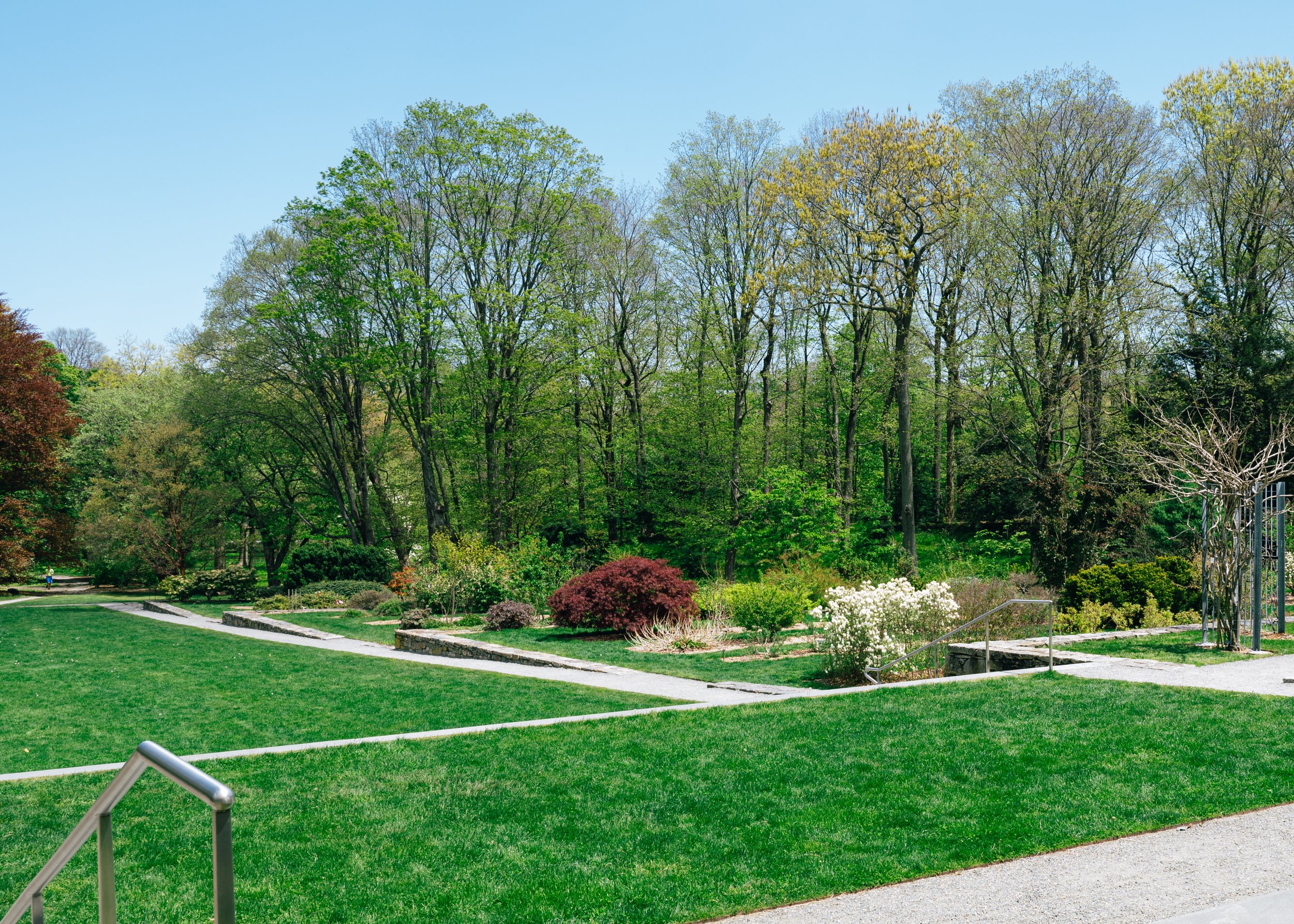 Arnold Arboretum-1.jpg