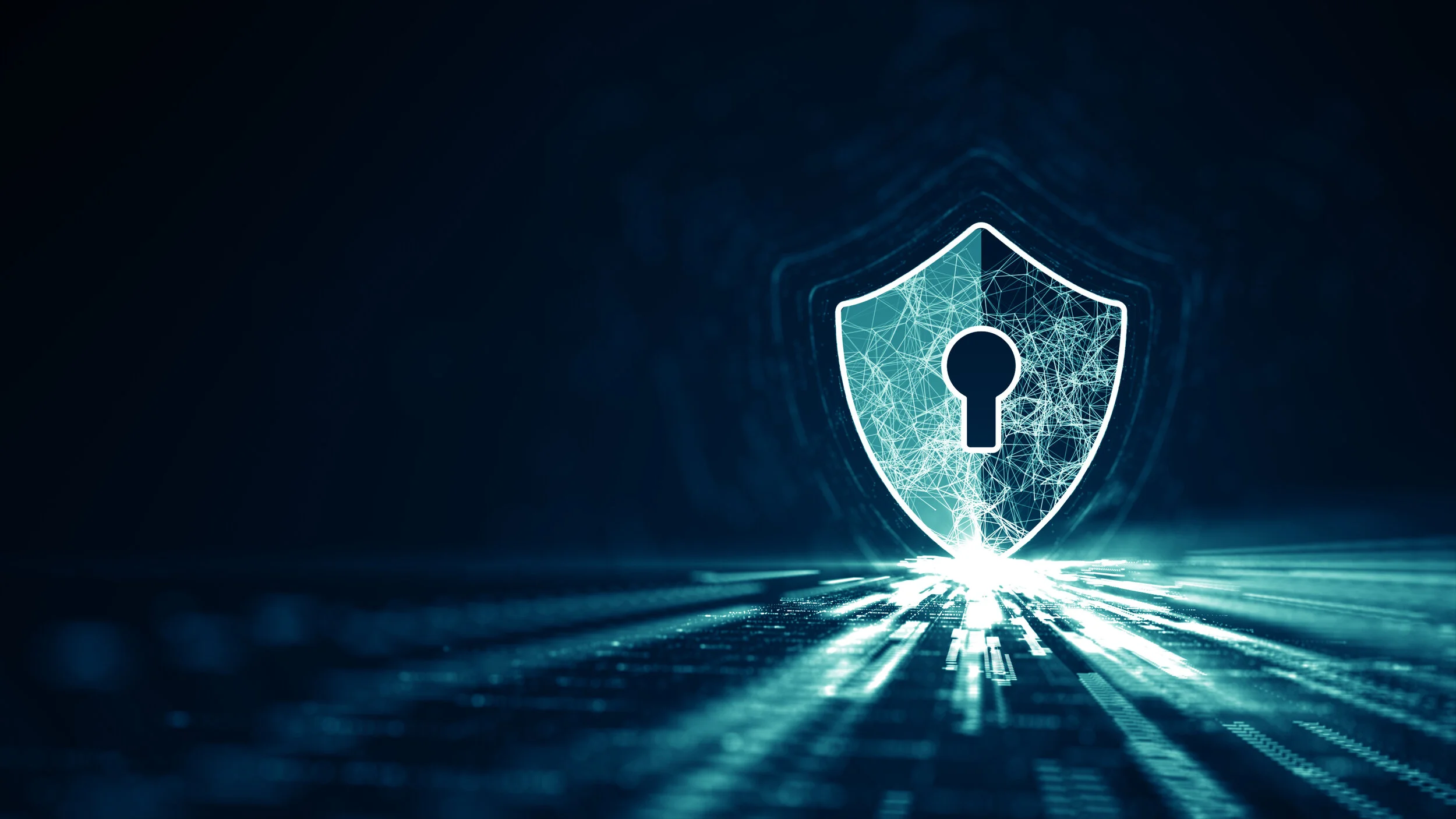 The Cost of a Data Breach