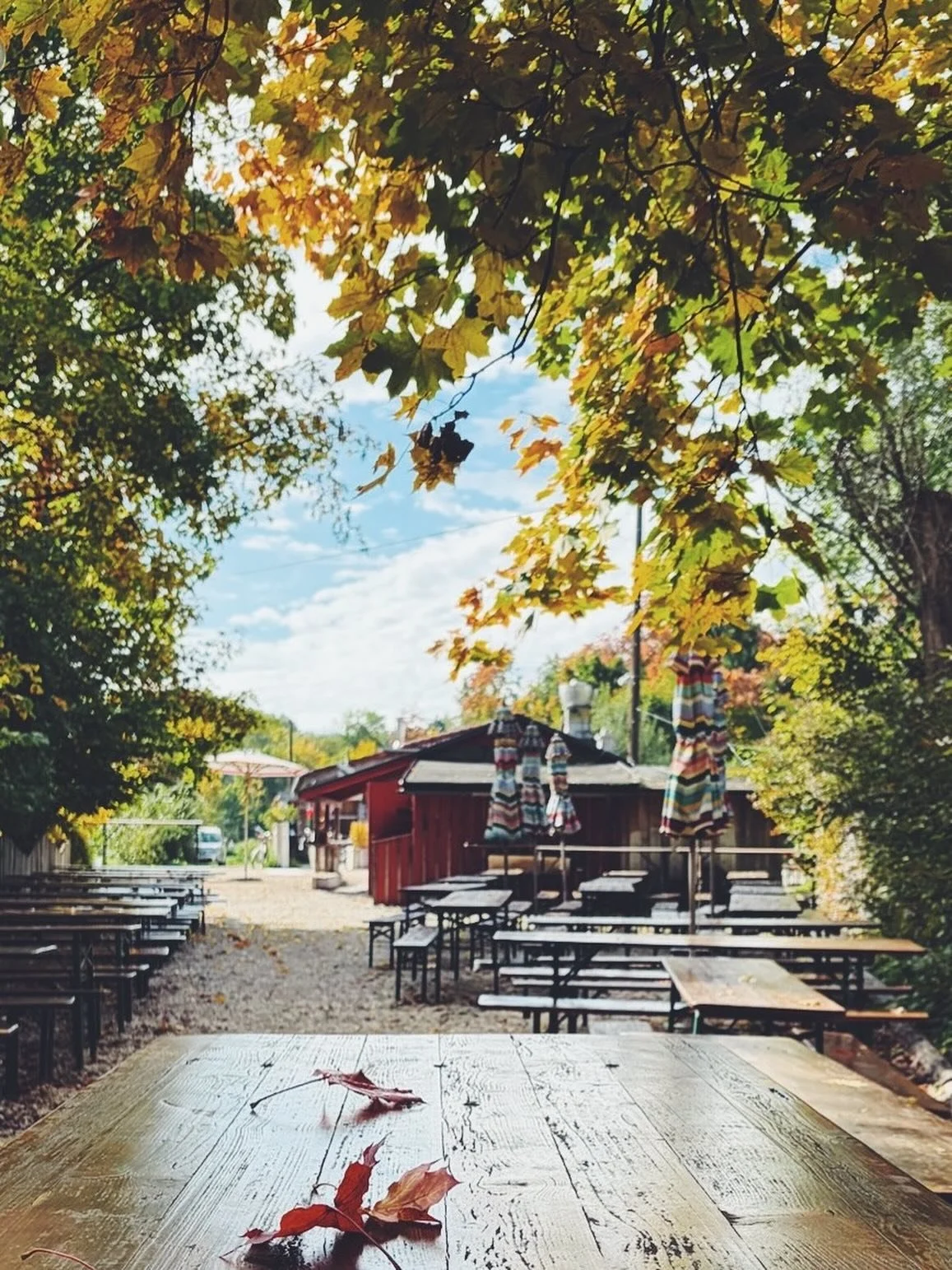 Unsere &Ouml;ffnungszeiten im Herbst und Winter: 

T&Auml;GLICH 
11 bis 18 UHR 

Wir freuen uns auf euch ❤️🧡💛
.
.
.
#kulperh&uuml;tte #herbst #t&auml;glichge&ouml;ffnet #amwertachufer #sch&ouml;nhier #amoreaugsburg 
.
.
.