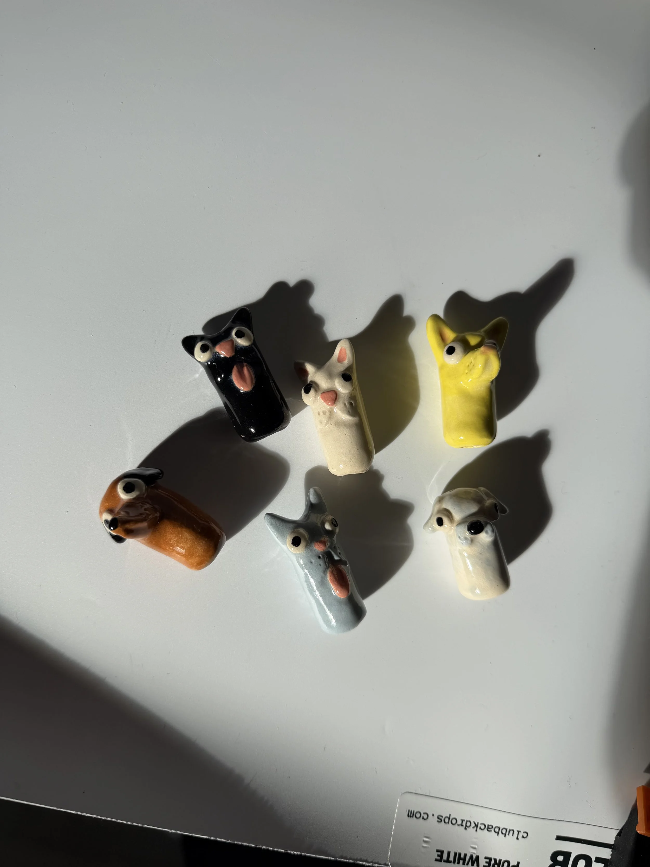 IMG_4815.jpeg