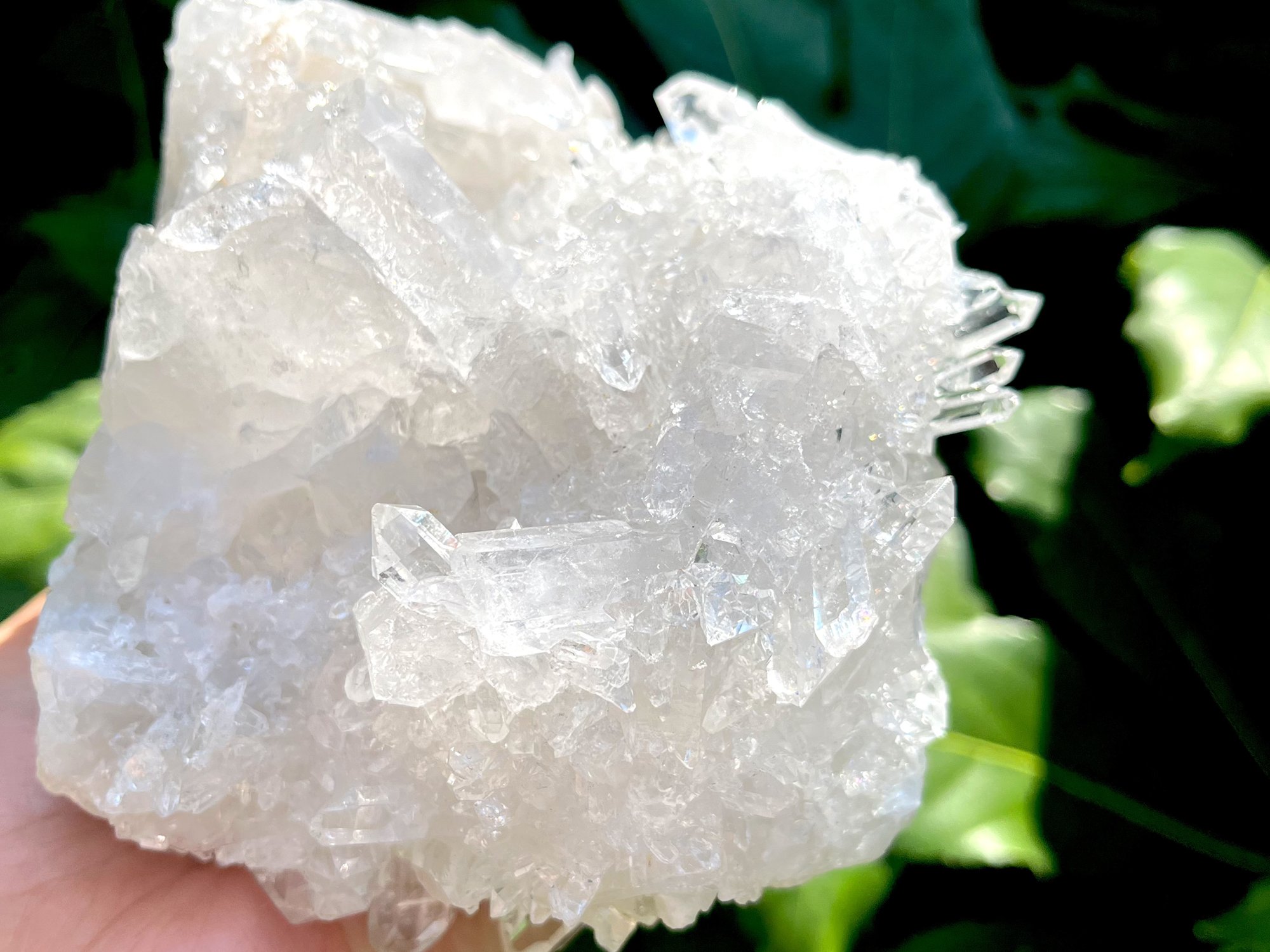 Cleaar Quartz Cluster6.jpg