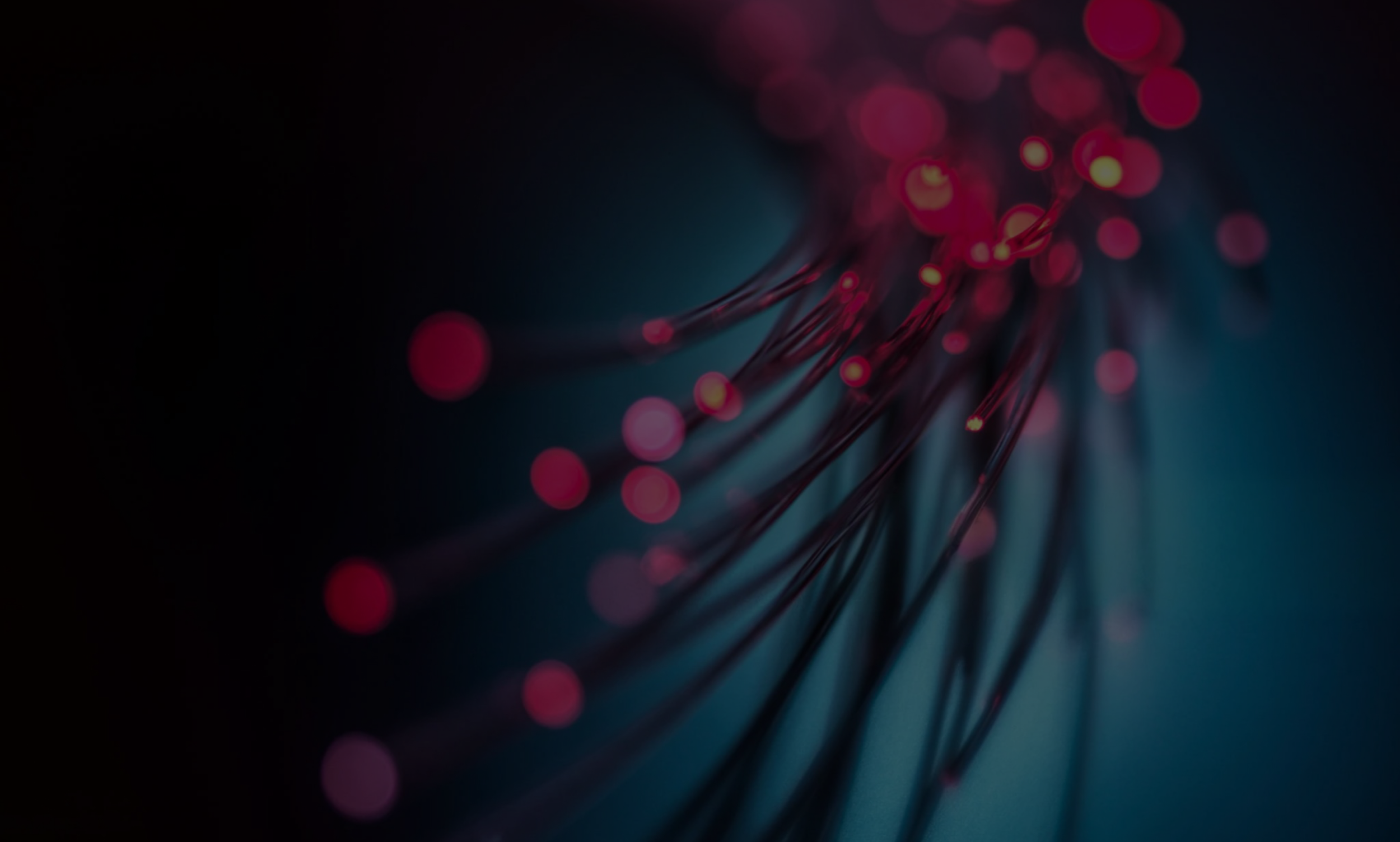Triangle Networks