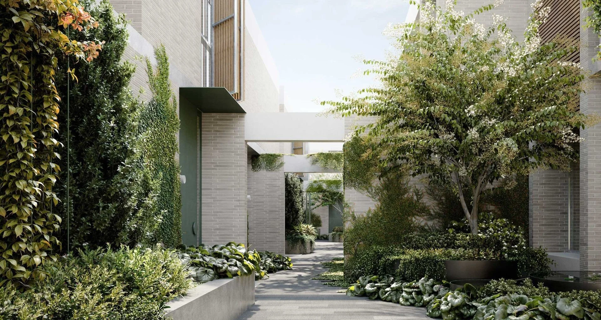 Malvern East - Sycamore Place - 50 Sycamore Street, Malvern East, VIC 3145 - Townly - 1.jpg