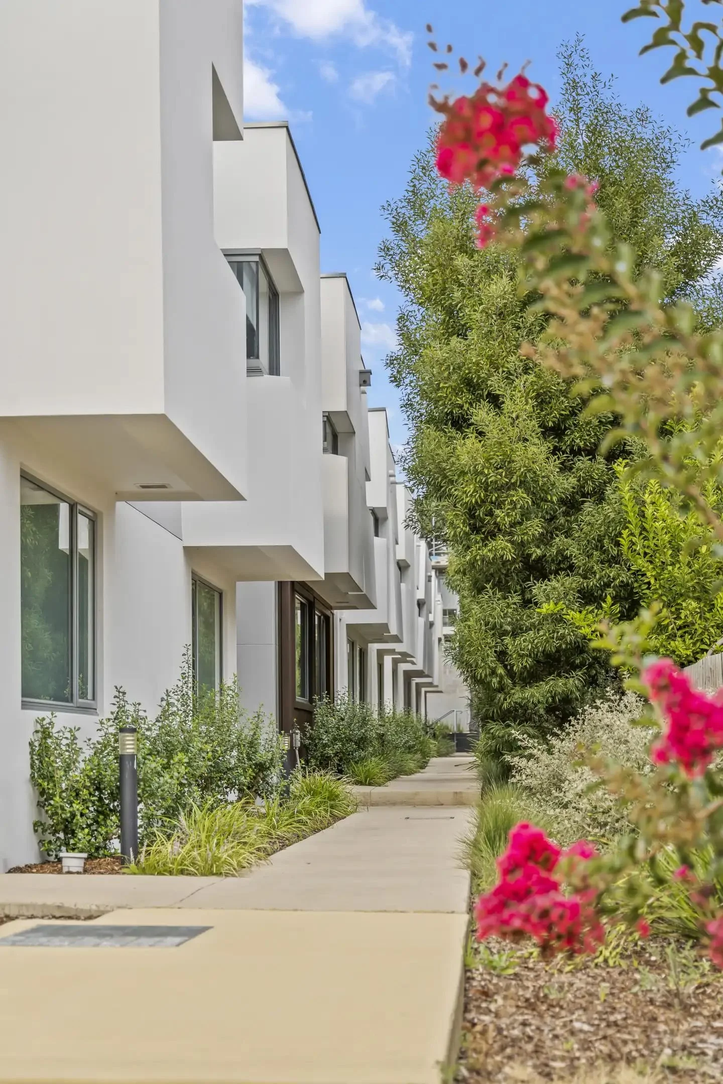Wheelers Hill - Bellenden - 820-830 Ferntree Gully Road, Wheelers Hill, VIC 3150 - Townly - 13.jpg