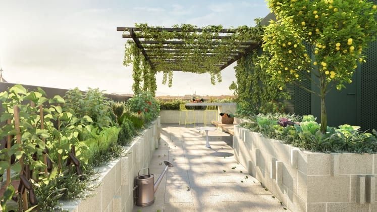 Brunswick - Two Eleven Sydney Road - 211-213 Sydney Road, Brunswick, VIC 3056 - Townly - 4.jpg