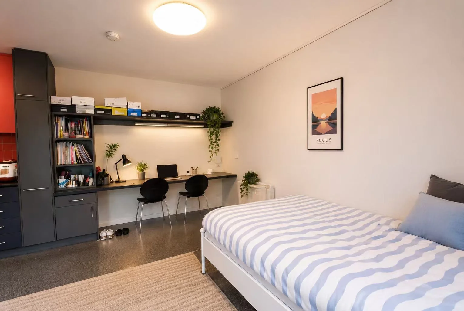 Camberwell - 234 Warrigal Road, Camberwell, VIC 3124 - Townly - 4.jpg