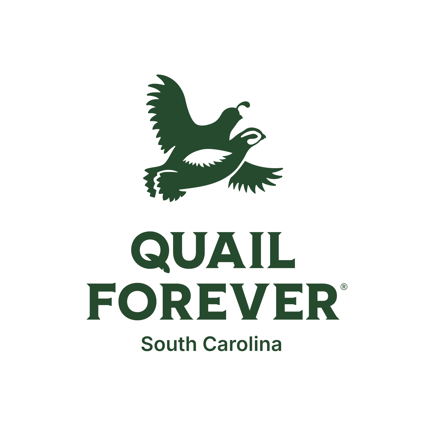 South Carolina Quail Forever 