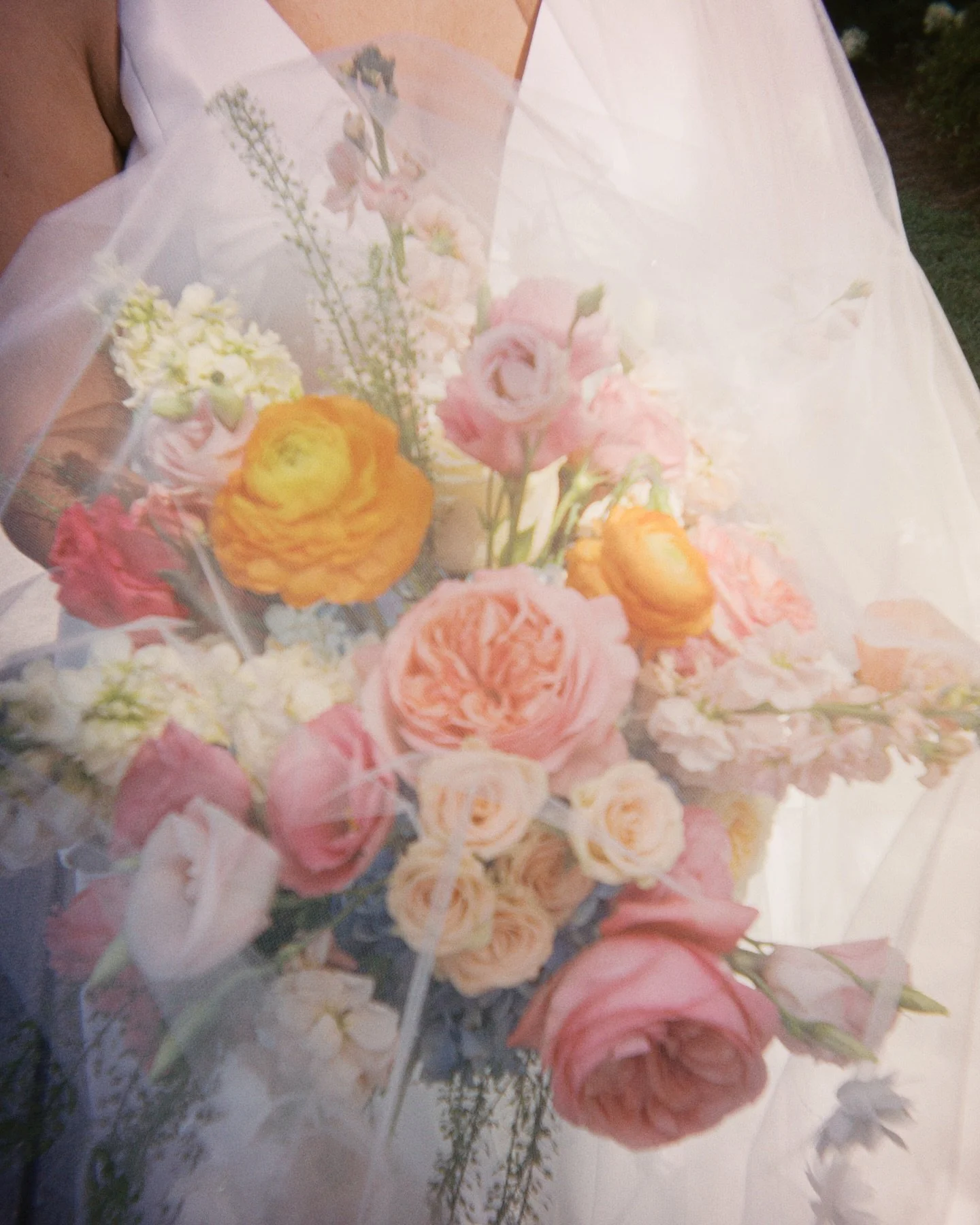 alyssa &amp; judson | 7.26.25 | taylor, mississippi