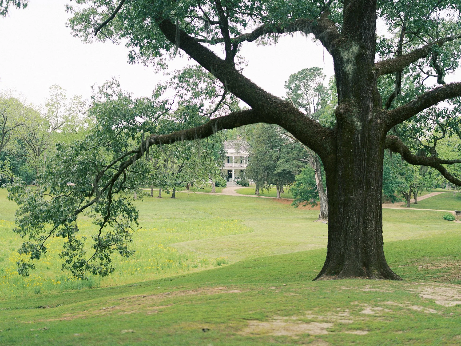 church-hill-mississippi-wedding-field-and-forest_0231.jpg