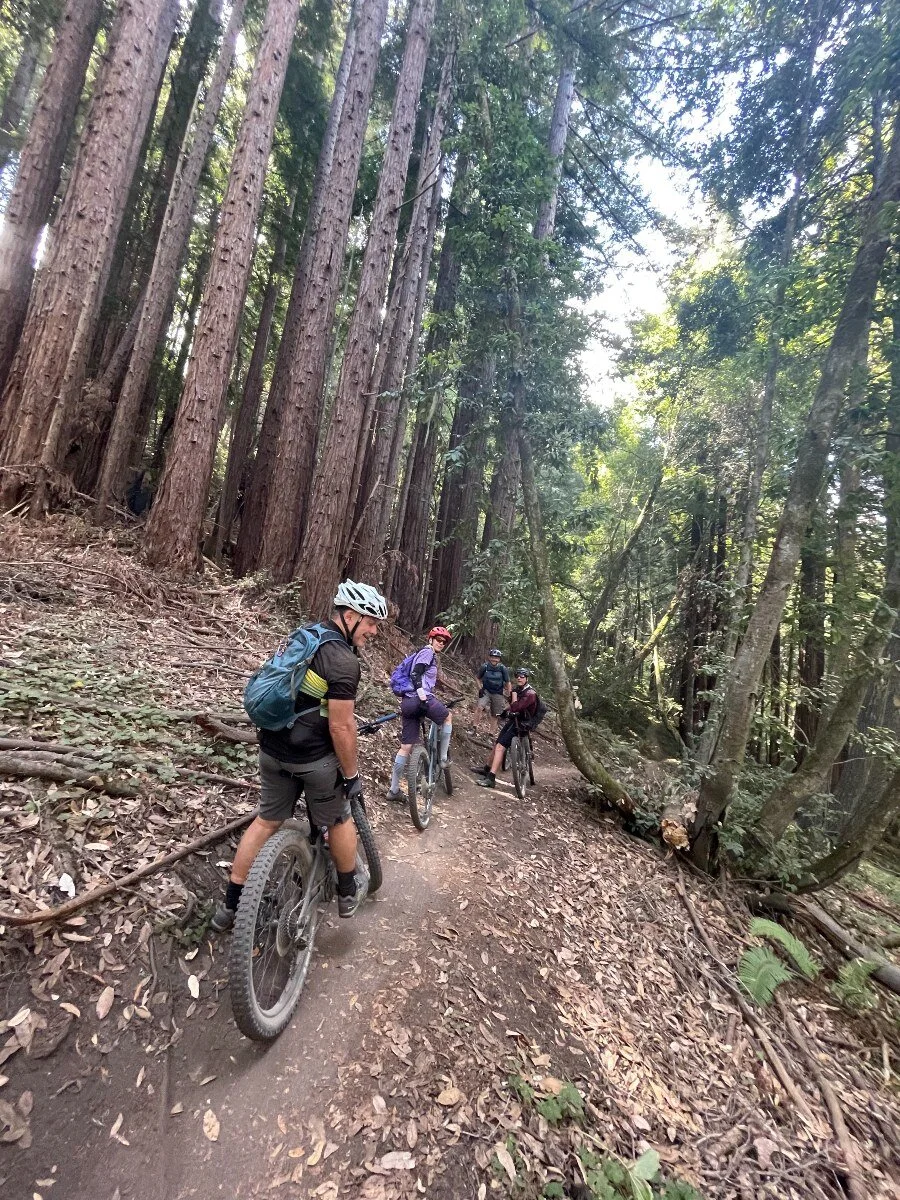 on the trail (1).jpeg