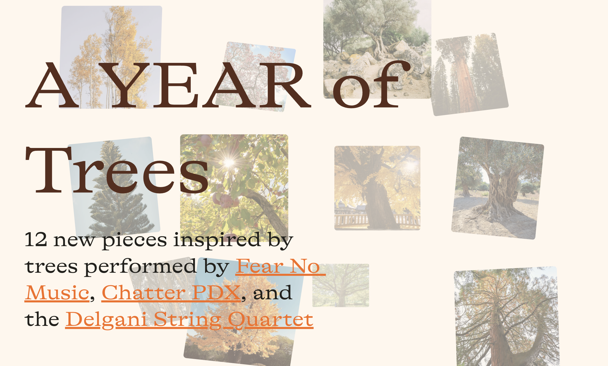 A Year of Trees