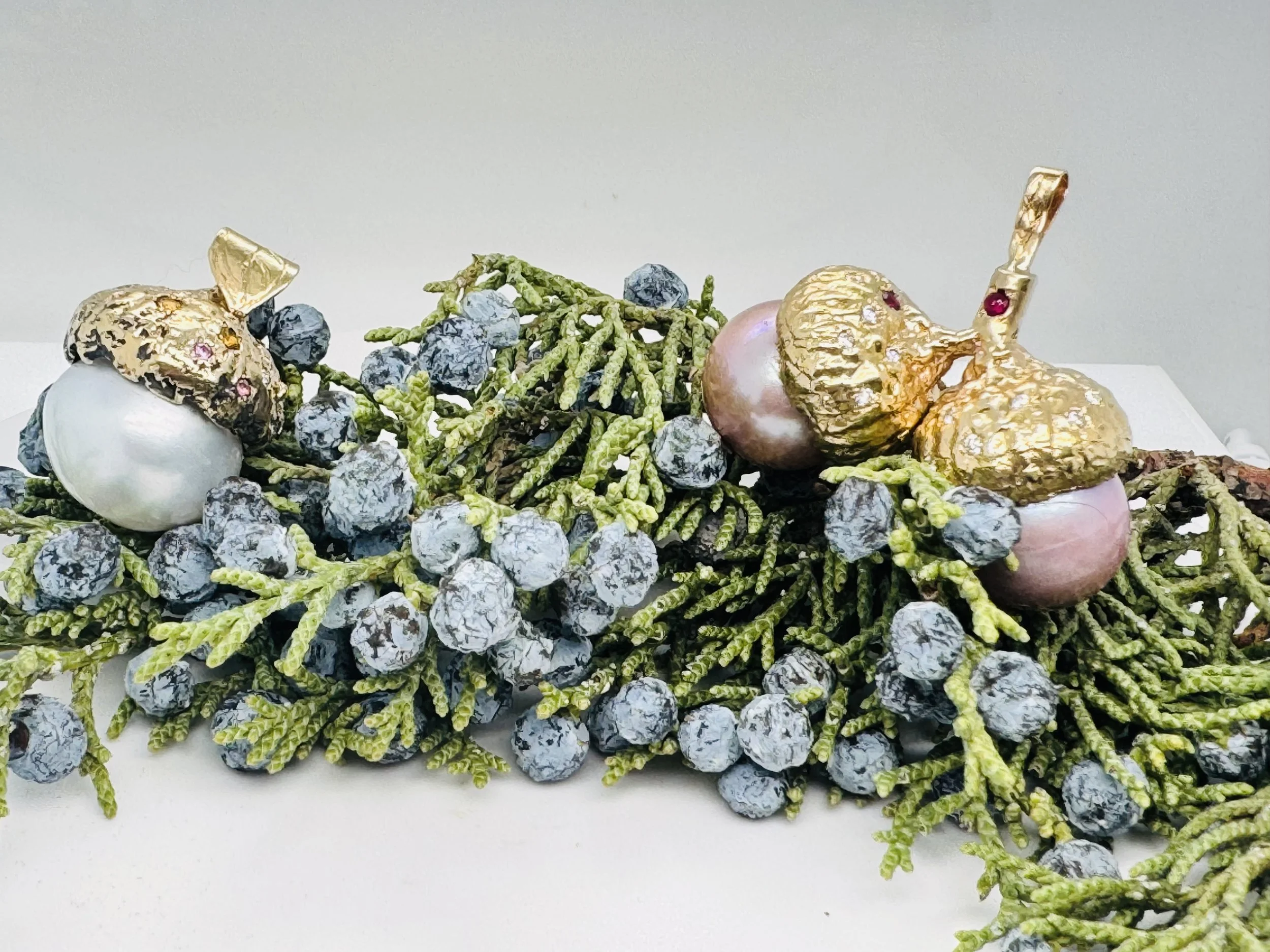 IMG_9118.jpg acorns .jpg