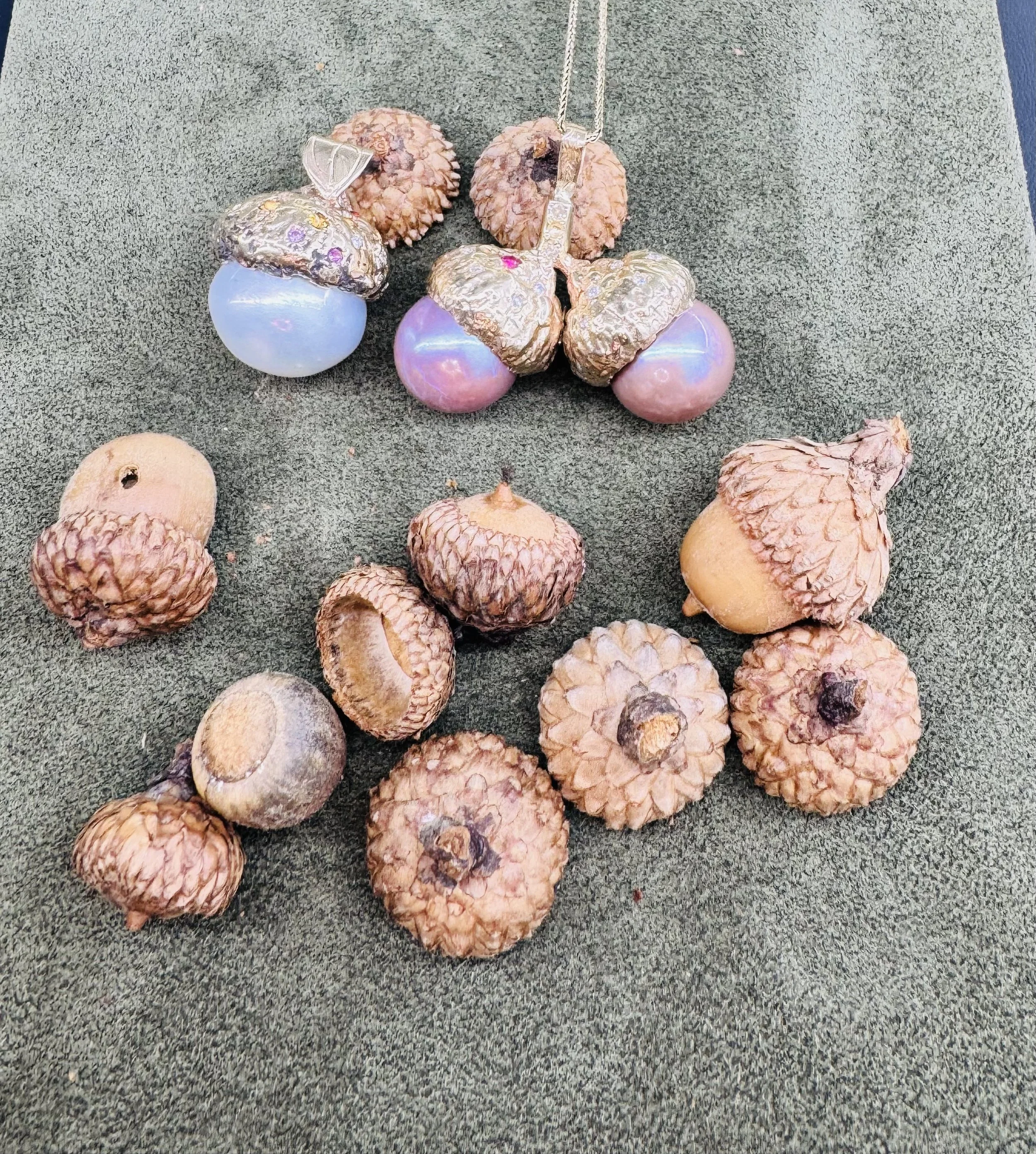 IMG_9157.jpg acorns duo.jpg