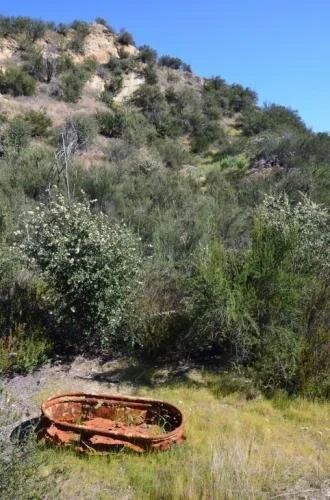 Rustic Oaks Ranch Photo Gallery — Rustic Oaks Ranch - A Beautiful ...