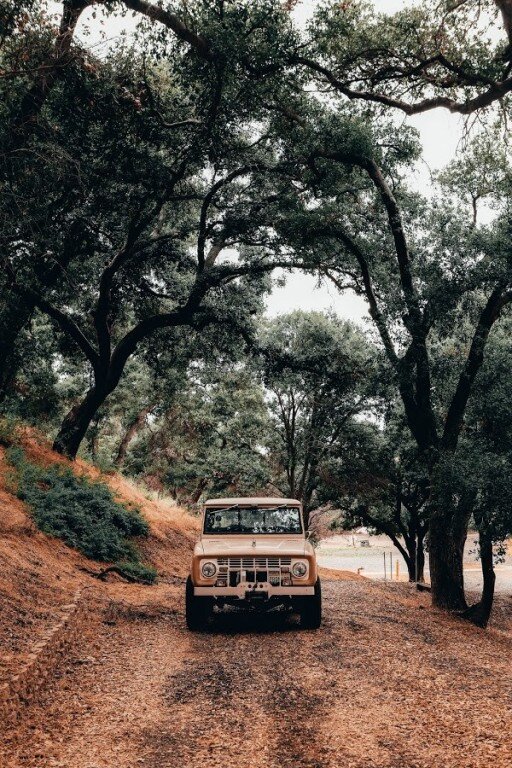 Old Bronco ready to be a part of your next film project in the forest