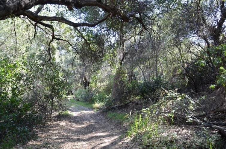Rustic Oaks Ranch Photo Gallery — Rustic Oaks Ranch - A Beautiful ...