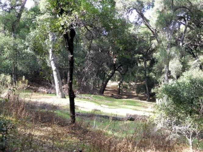 Rustic Oaks Ranch Photo Gallery — Rustic Oaks Ranch A Beautiful