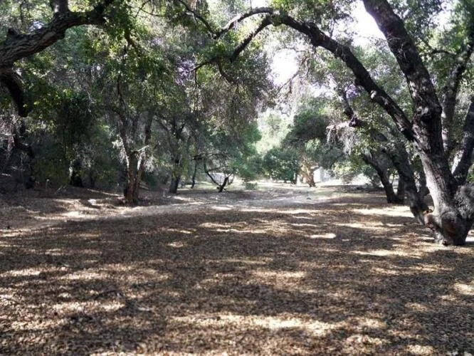 Rustic Oaks Ranch Photo Gallery — Rustic Oaks Ranch - A Beautiful ...