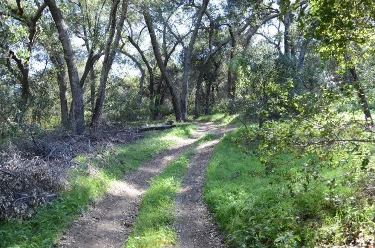 Rustic Oaks Ranch Photo Gallery — Rustic Oaks Ranch - A Beautiful ...