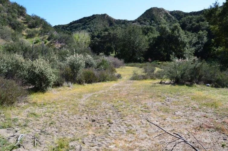 Rustic Oaks Ranch Photo Gallery — Rustic Oaks Ranch - A Beautiful ...
