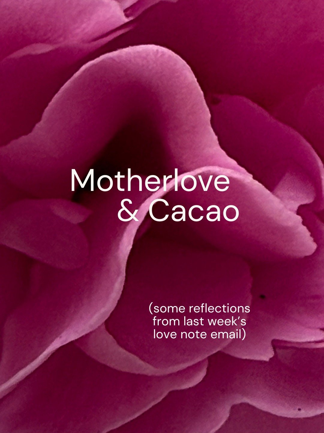 Here's to the mothers, to the mother earth, to waking up to the reality that all life is entangled and connected - that mother is the boundless love - to be treasured. I watched the #manosphere doc last night @louistheroux was brilliant as ever and t