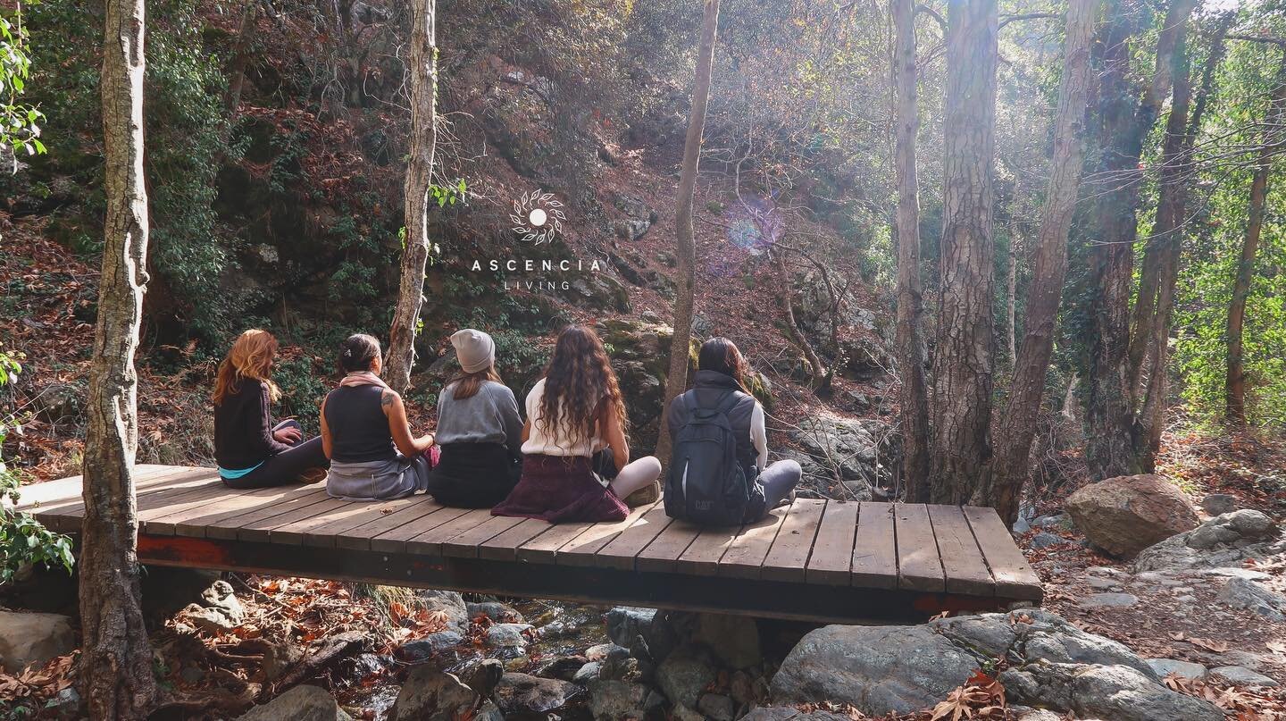 In this picture, a powerful silent meditation took place, with the sound of nature(bird sounds &amp; the sound of the waterfall✨) 
At our OPEN, CONNECT &amp; BALANCE retreat in Platres, Cyprus.

You will always heal through nature✨🙏
.
.
.
.
.

#asce