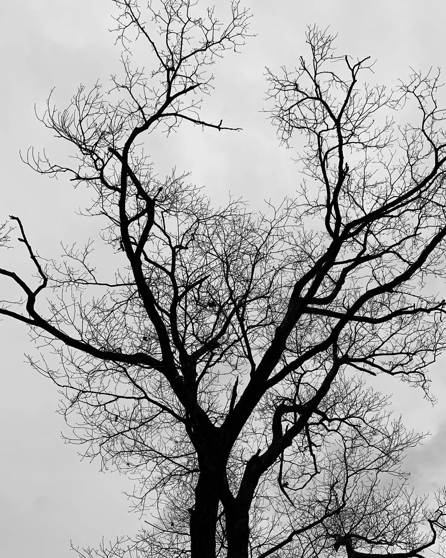 Notes on a walk: Exposed