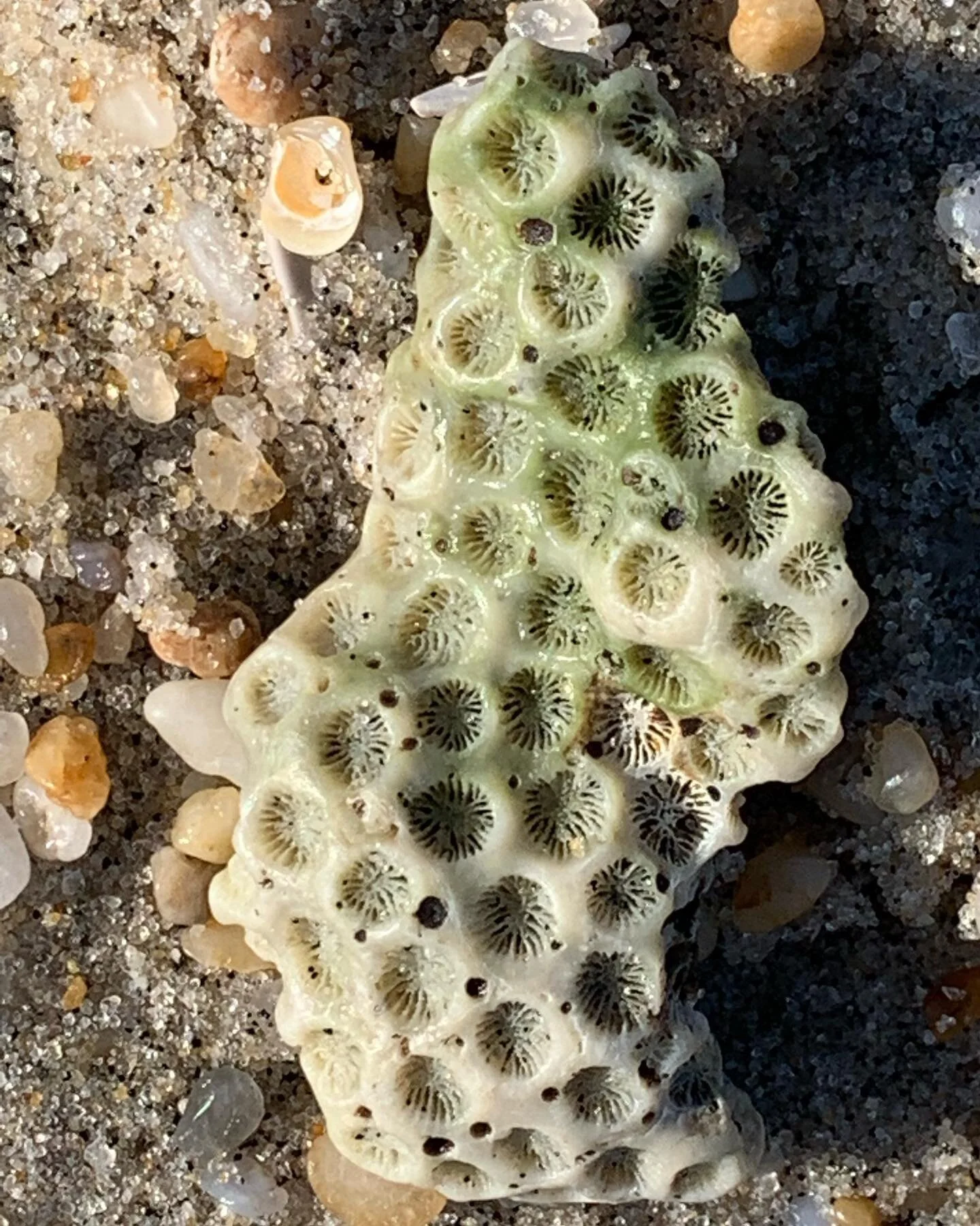Notes on a walk: texture