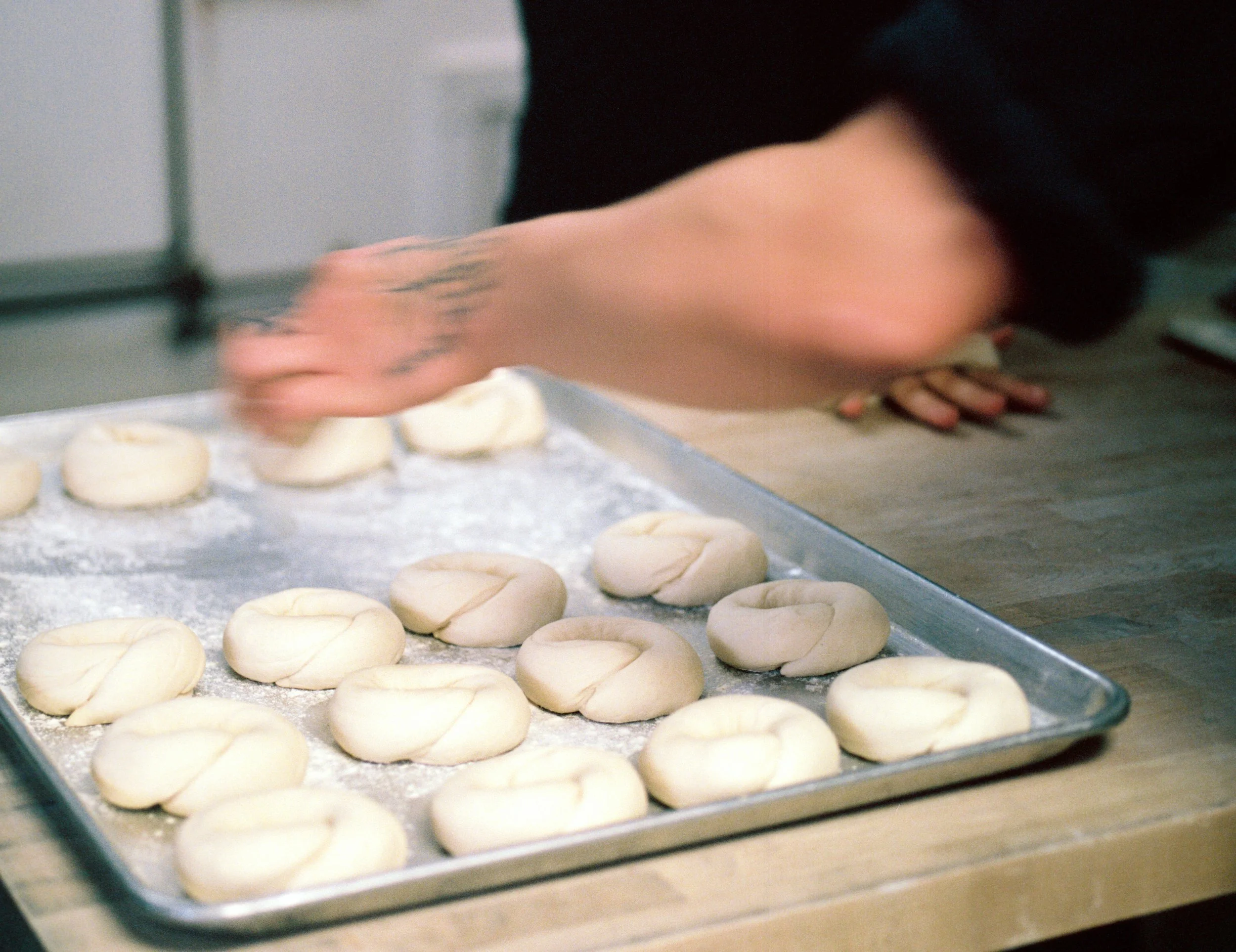Pigeon Bagels