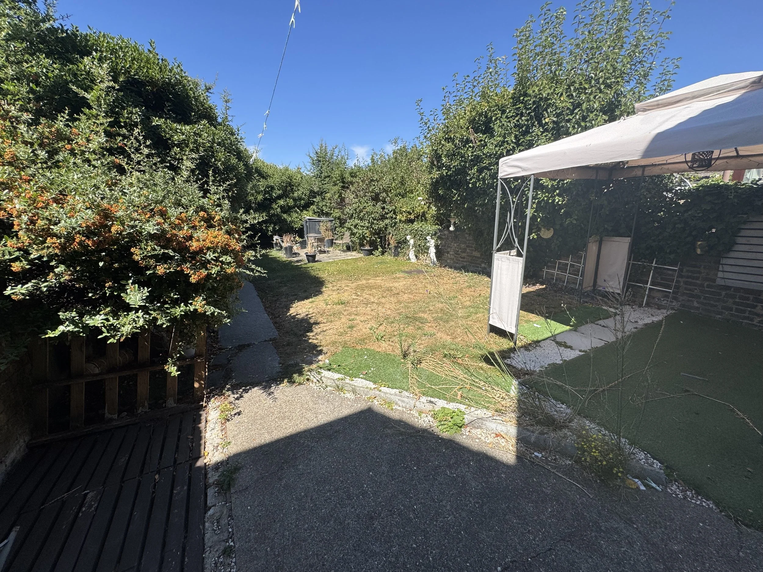 IMG_5410.jpeg