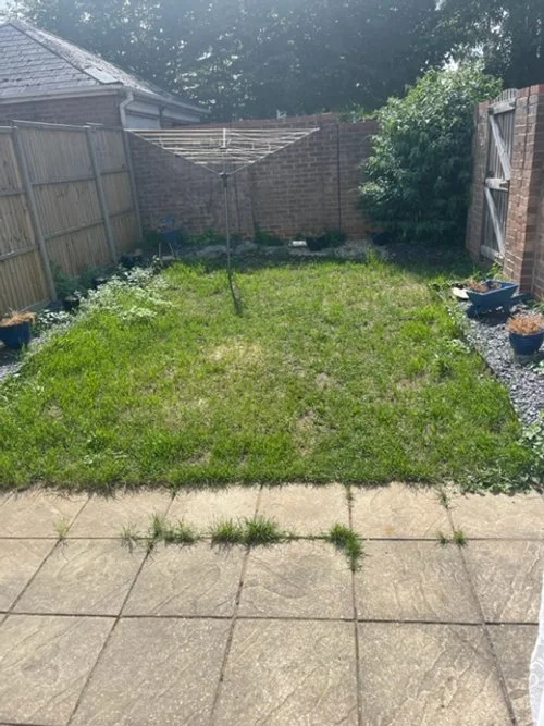 Taillour Garden .jpg