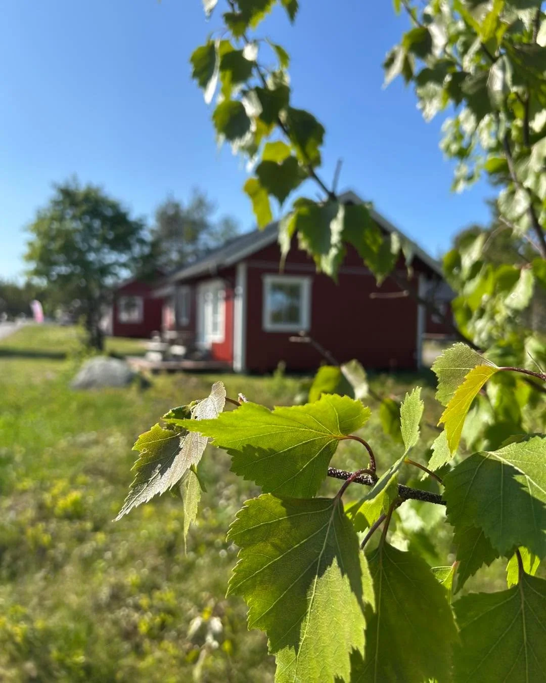 Blickar tillbaka på säsongen 2025 på Seskarö Havsbad & Camping. En ny rekordsäsong för oss på alla sätt och vi fick uppleva det mesta. Camping när det är som bäst. 
https://www.seskarohav