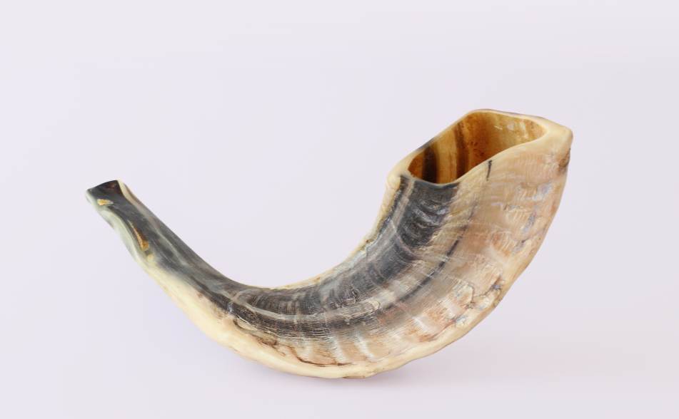 The Cries of the Shofar -                     Chana edition