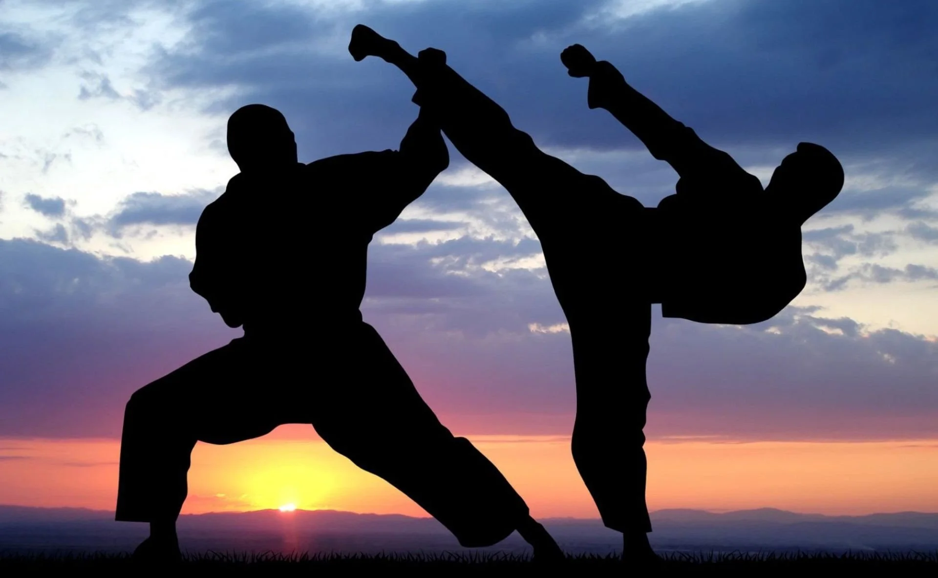 Difference Between Martial Arts & Self Defense - Guest Blog