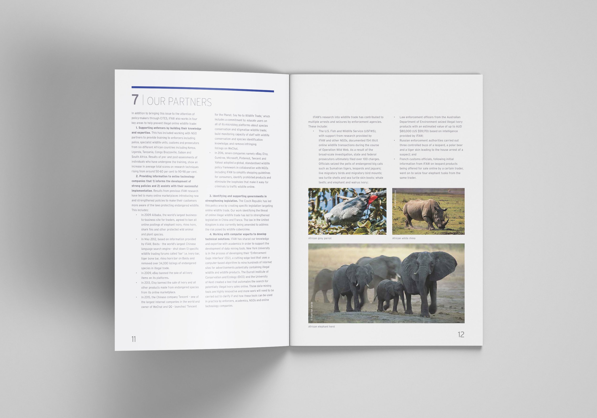 IFAW_6.jpg