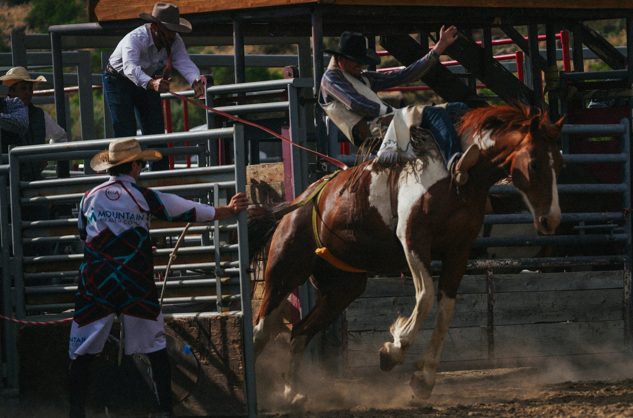 DSC00203-2.jpg