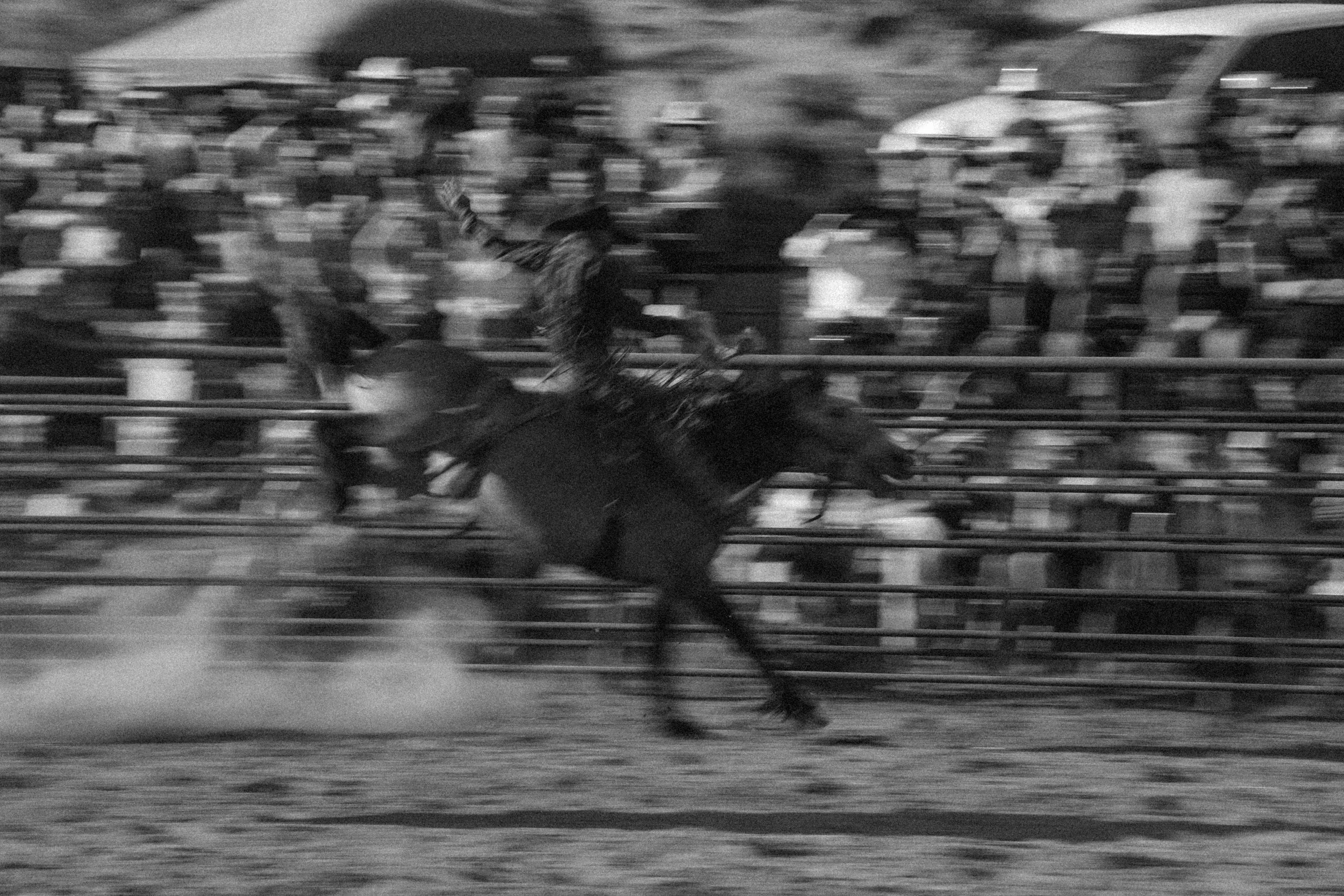 DSC00783.jpg