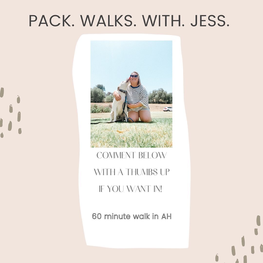 july pack walks coming your way! 
.
.
many of you have shown interest in this opportunity and I&rsquo;ve finally pieced it all together! 
.
. 
comment ⬇️ with a thumbs up if you&rsquo;re interested and I will DM you the details! 🤍