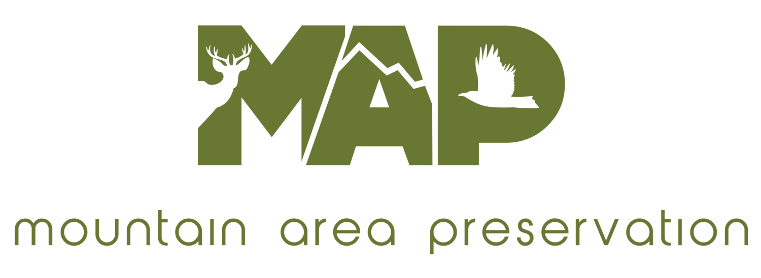 MAP_logo_green-01.png