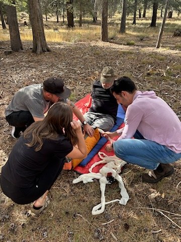 Wilderness First Aid Course in Tahoe.jpeg