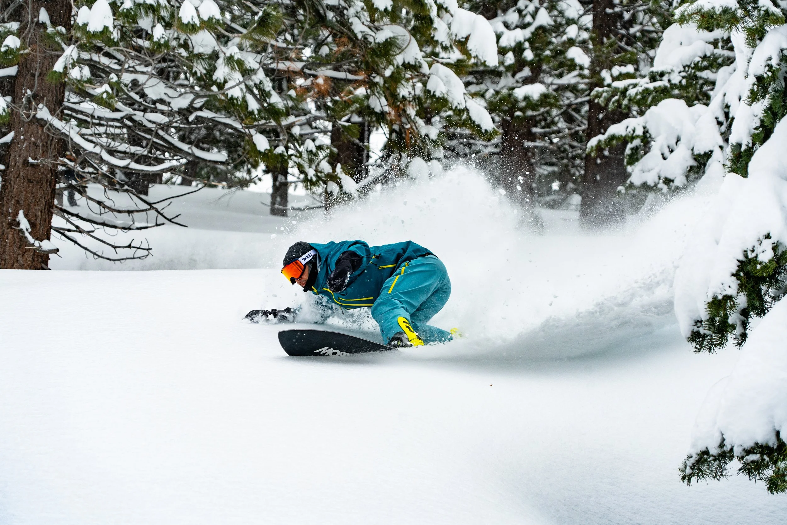 Moss Tahoe _ 19 copy.jpg