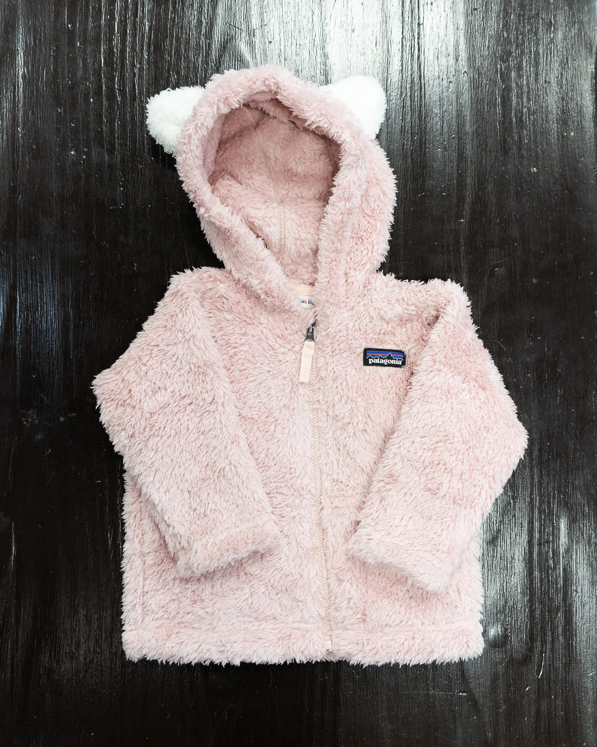Patagonia Furry Friends Hoody