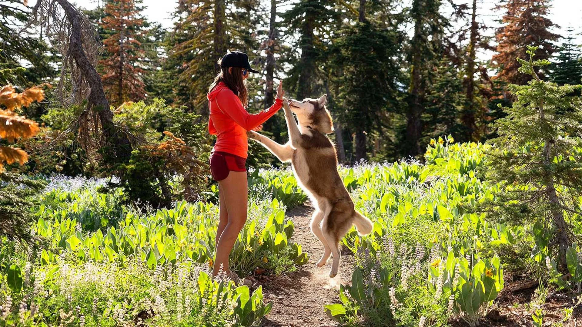 Hiking, Running, & Backpacking