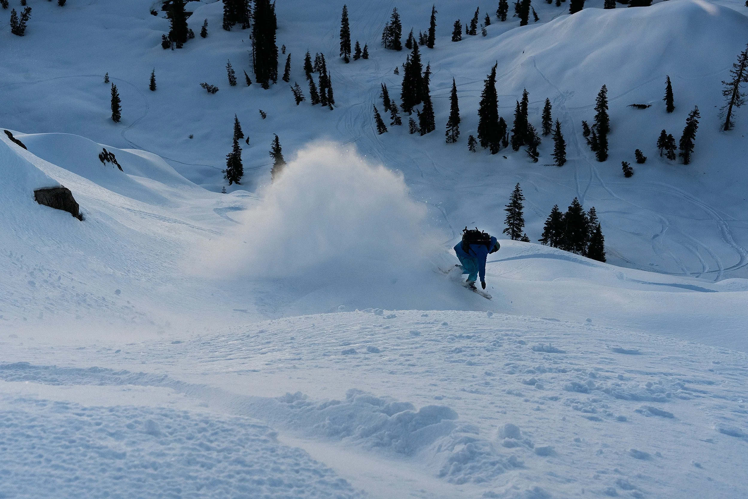 West Wind Cat _ Mandio Spray 3 10 inch.jpg