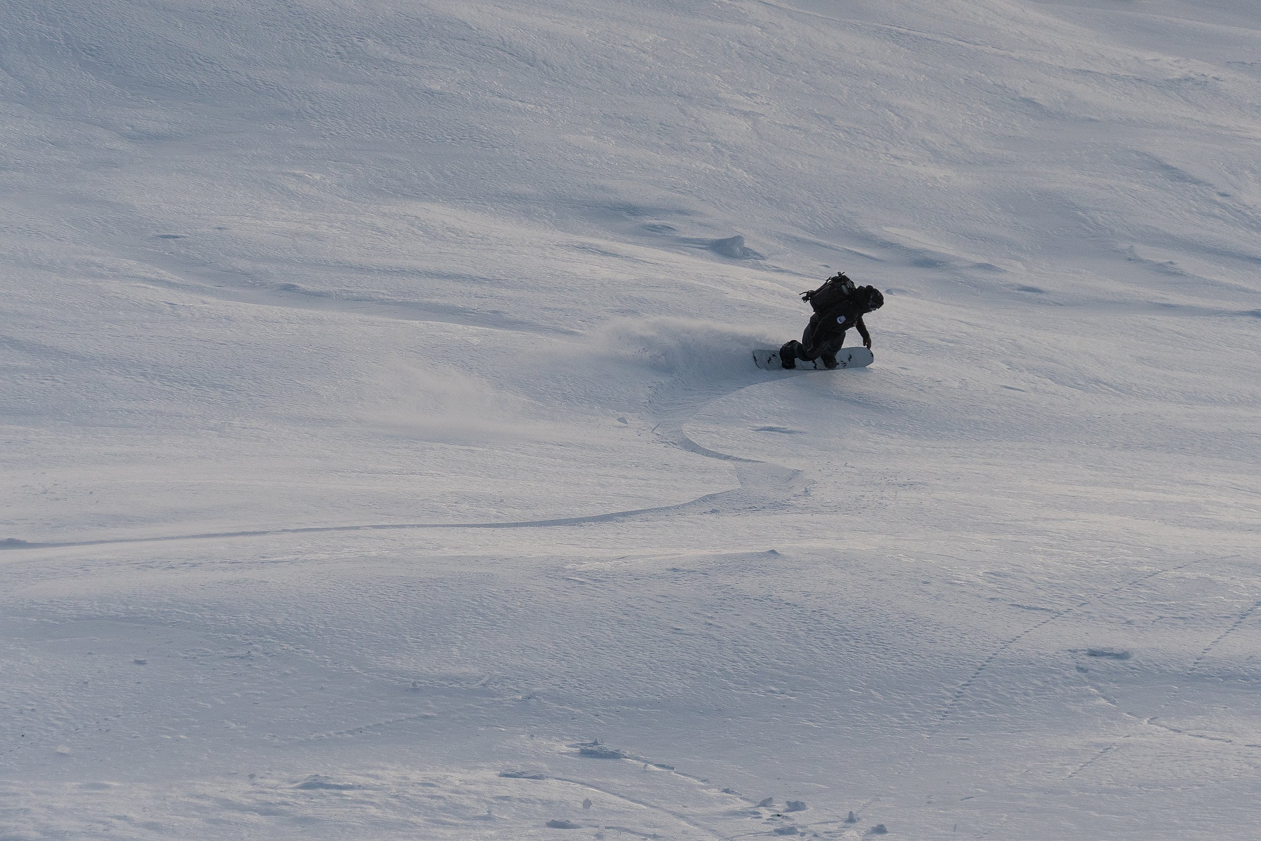 West Wind Cat _ Max Carve 1 10 inch.jpg