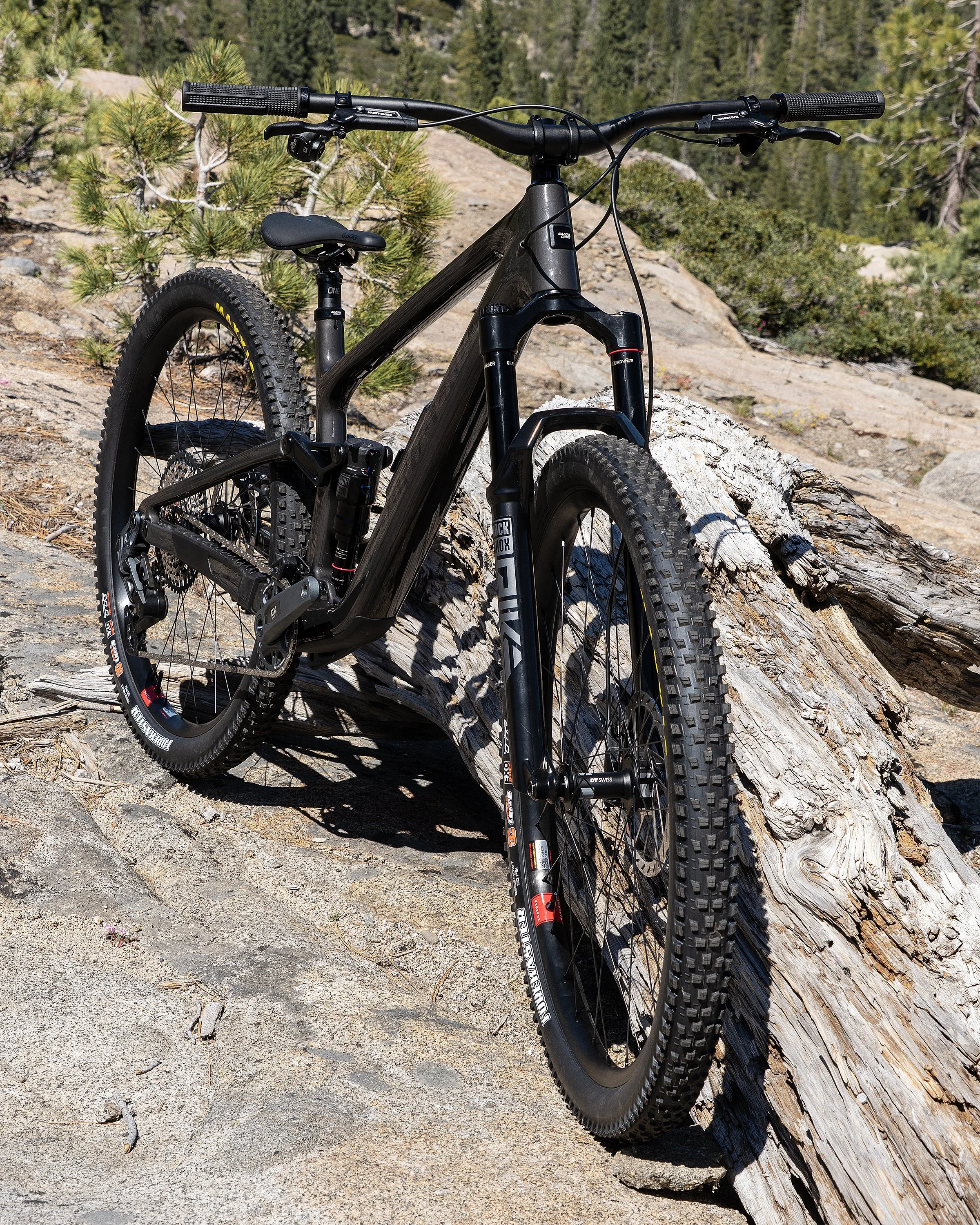 Tallboy 7 .jpg