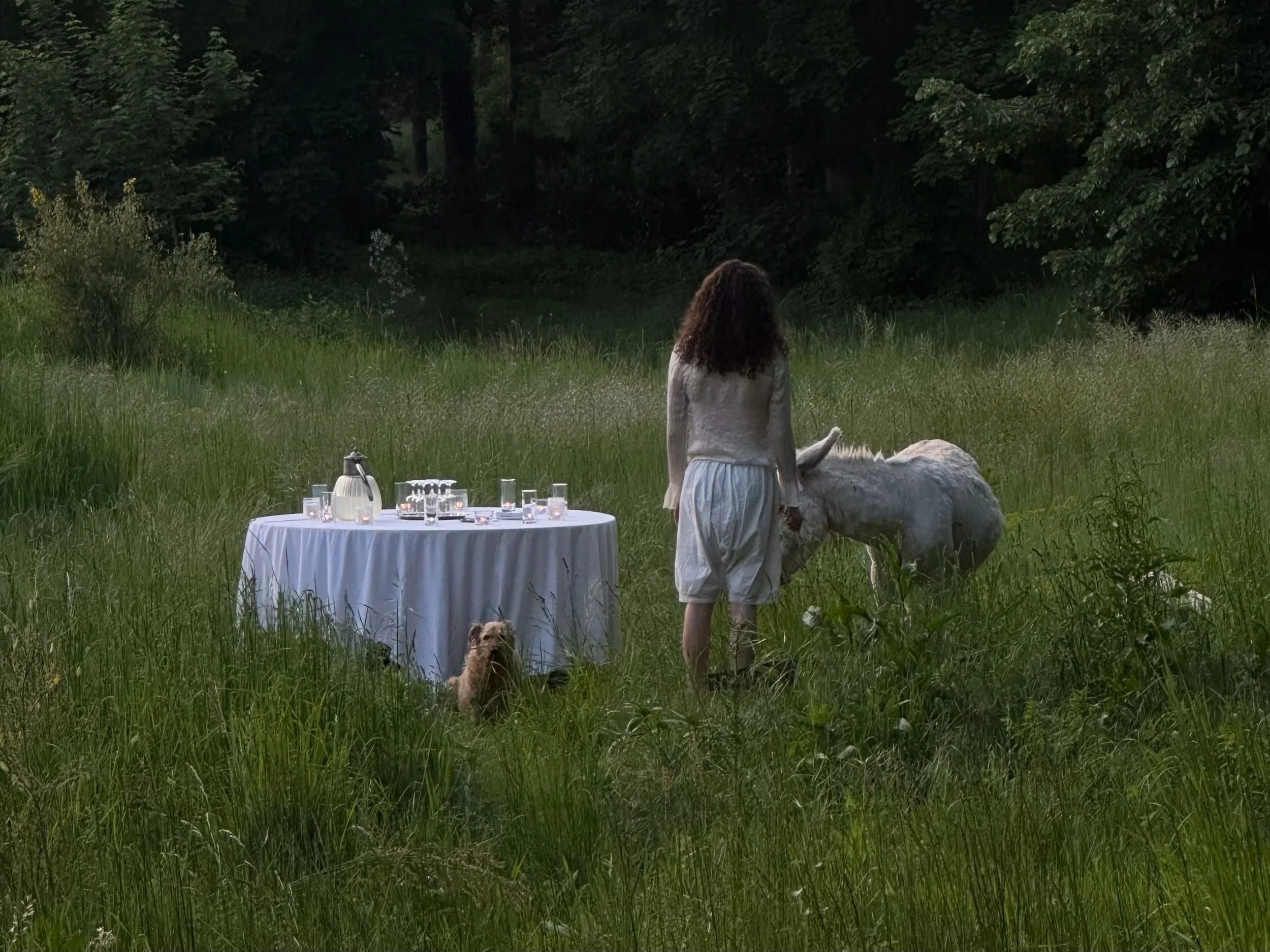 Château de la Haute Borde